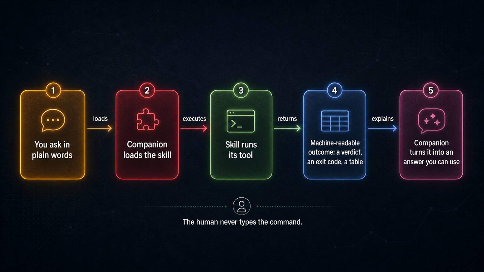 Editorial flow diagram on a dark background: you ask in plain words, the companion loads the skill, the skill runs its tool, a machine-readable outcome returns, and the companion explains the answer.